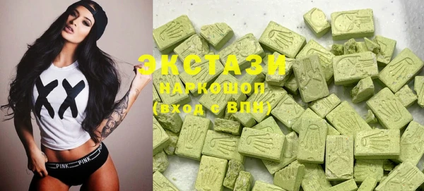 мдпв Гусев