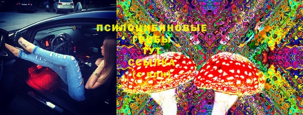 дмт Волоколамск